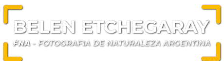 Fotografia de Naturaleza Argentina